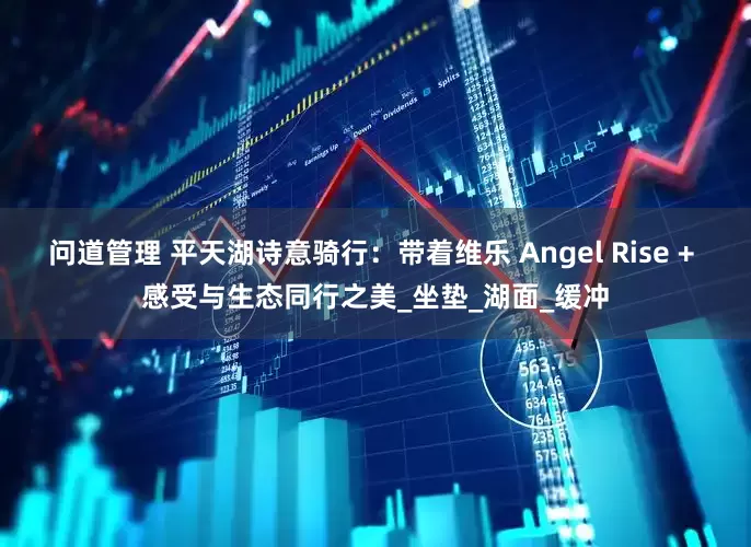 问道管理 平天湖诗意骑行：带着维乐 Angel Rise + 感受与生态同行之美_坐垫_湖面_缓冲