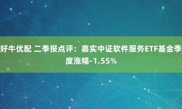 好牛优配 二季报点评：嘉实中证软件服务ETF基金季度涨幅-1.55%