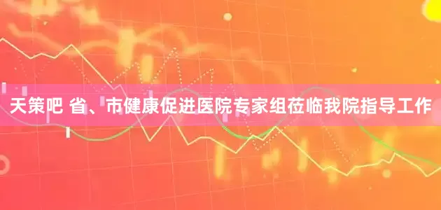 天策吧 省、市健康促进医院专家组莅临我院指导工作