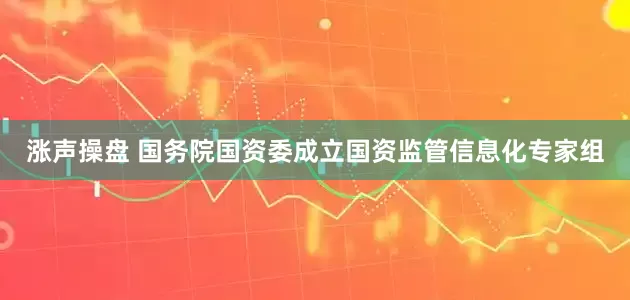 涨声操盘 国务院国资委成立国资监管信息化专家组