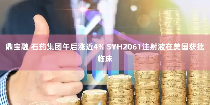 鼎宝融 石药集团午后涨近4% SYH2061注射液在美国获批临床